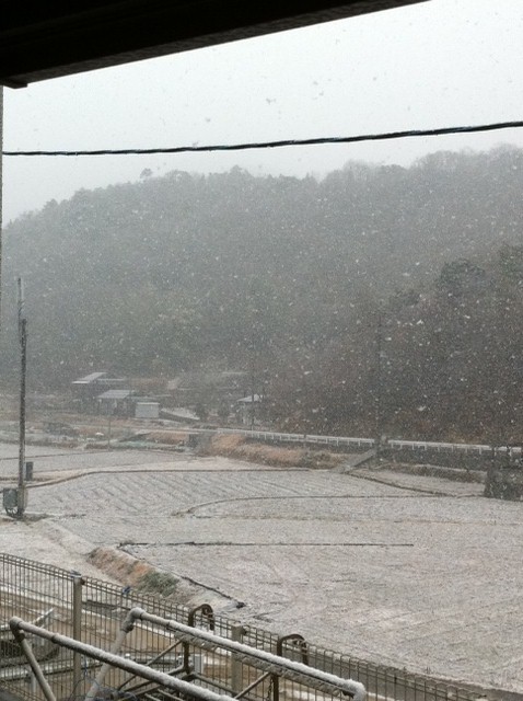 雪やコンコン