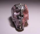 市川 透 作 「酒呑 Memento mori」 #1