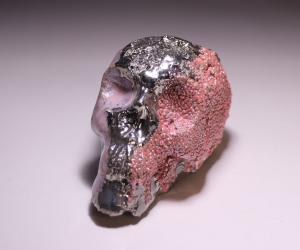 市川 透 作 「酒呑 Memento mori」